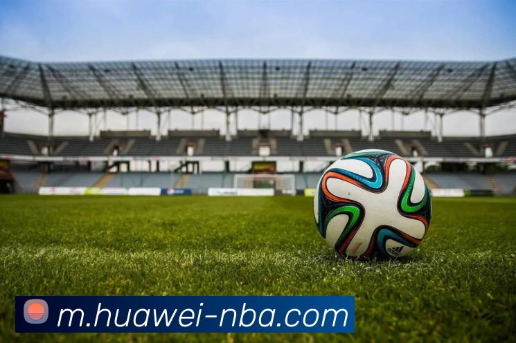 NBA买球平台生态图