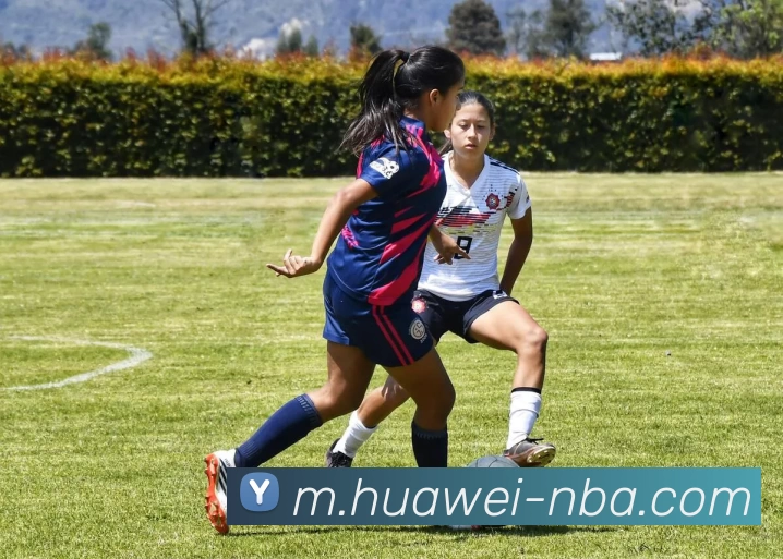 NBA买球品牌故事